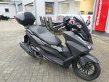 Honda NSS125ADF ED  Forza 1. Hand in TOP Zustand! - HONDA 125I