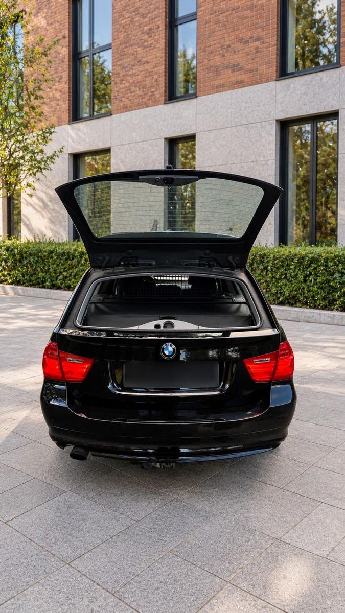 BMW 318 2010 — photo 9