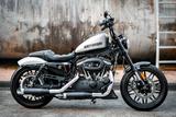 Harley-Davidson XL1200CX Roadster - Custom  Umbau! - Angebote