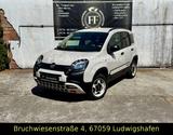 Fiat New Panda 4x40 * Sondermodel* 1. Hand* - Fiat New Panda Benziner Gebrauchtwagen