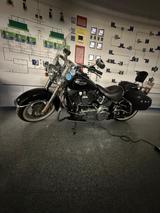 Harley-Davidson Softail Deluxe FLSTN / Penzl Bike - Offers