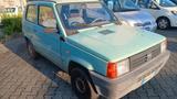 Fiat Panda 1100 i.e. cat Young CON SOLI 51.000 K - gebrauchte Fiat Panda aus dem Jahr 2001