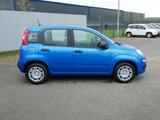 Fiat Panda HYBRID 1.0 GSE 70PS PDC CITY PAKET RADIO 5 - Fiat Panda: 5.5