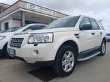 Land Rover LAND ROVER Freelander XS 2.200 TD4 160cv 4WD - weiße Land Rover Freelander