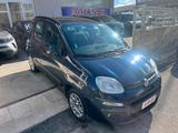 Fiat Panda 1.3 MJT S&S Pop - Fiat Panda POP mit Diesel-Antrieb