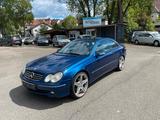Mercedes-Benz CLK Coupe 270 CDI*KLIMAAUT*2xPDC*XENON*SHZ*TEMP* - Mercedes-Benz CLK 270: Cdi