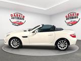 Mercedes-Benz SLK 250 CDI MERCEDES SCHECKHEFT/LEDER/TÜV NEU - : Roadster, Mercedes