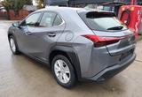 Lexus UX 250 h - Lexus UX SUV