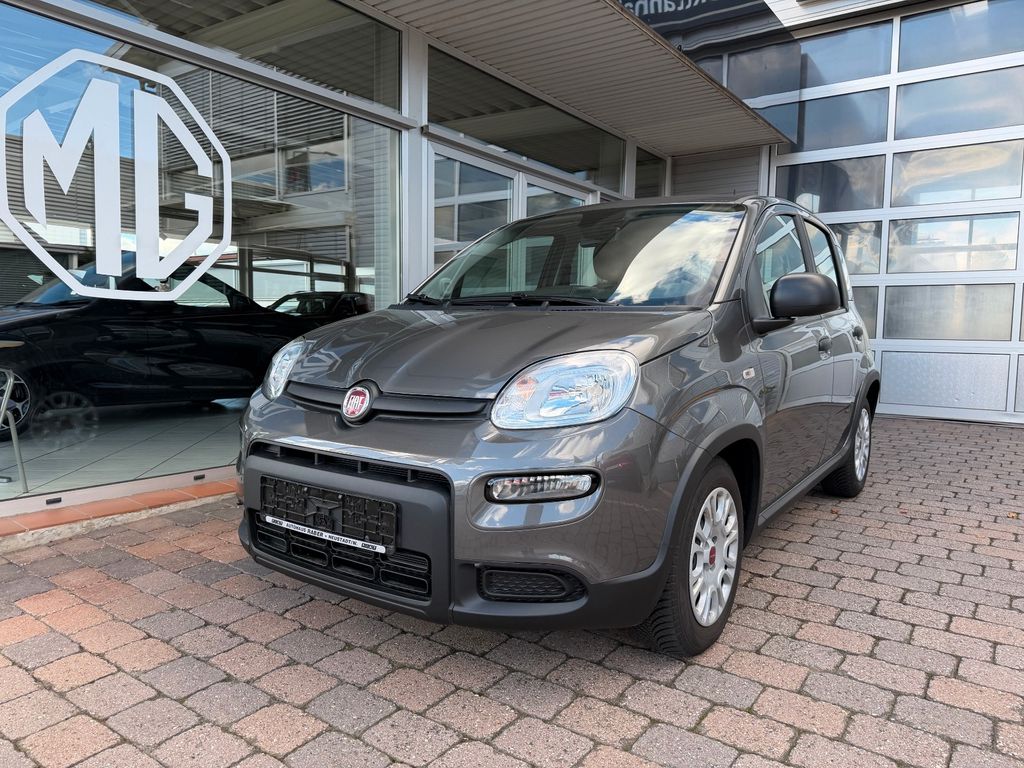 Image of Fiat Panda