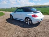 Volkswagen Beetle 1.4 TSI Sport Cabriolet Sport - Volkswagen Beetle mit Benzin-Antrieb: Cabrio, 1.4