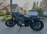 Harley-Davidson Sportster 1200 XR Roadster - HARLEY-DAVIDSON SPORTSTER 1200 ROADSTER