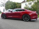 Ford  Mustang GT 5.0 V8 Fastback, Facelift, 1. Hand - gebrauchte Ford Mustang mit Facelift