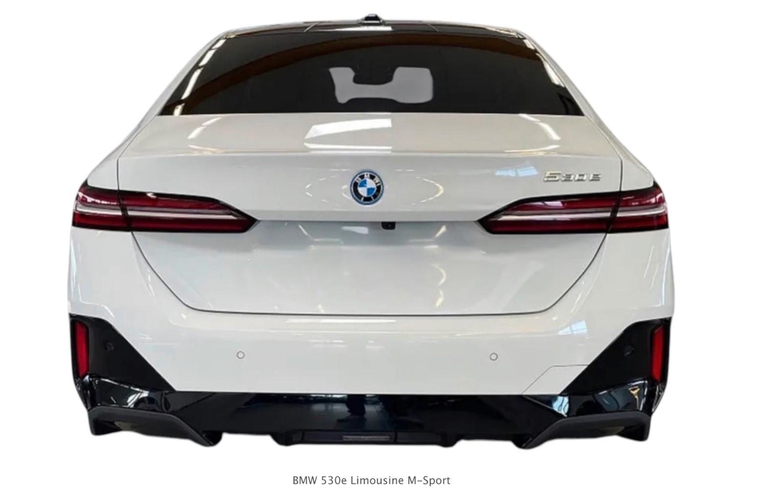 BMW 530e M Sport / PANO / AHK / HK / BRAUN LEDER