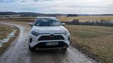 Toyota RAV 4 2.5 Hybrid Teamplayer AWD - gebrauchte Toyota RAV 4 aus dem Jahr 2024