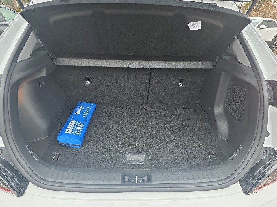 Fahrzeugabbildung Hyundai KONA Elektro 150kW PRIME Leder Dach-Lackierung