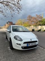 Fiat Punto - Fiat Punto Gebrauchtwagen in Mannheim