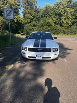 Ford Mustang - Ford Mustang in Ludwigshafen