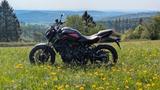 Yamaha MT 07 Pure