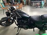 Indian Chief Dark Horse 