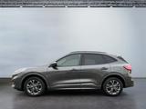 Ford Kuga ST-Line X 2.5 FHEV Hybrid Automatik ACC LED - Ford Kuga Jahreswagen