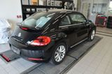 Volkswagen Beetle 1.4 TSI Design XENON SHZ PDC GRA - Volkswagen: De