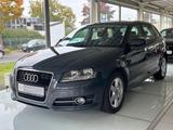 Audi A3 Sportback 1.8 TFSI MULTI/SHZ/KLIMA/P-ASSIST/ - Audi A3: 8p Sportback