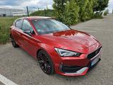 Cupra Leon 2.0 TSI VZ DSG Sportlenkrad+ACC+Beats+LED - Cupra Leon: Privatanbieter