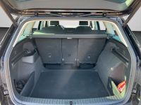 Skoda Kodiaq - Vorschau Bild 16