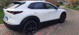 Mazda CX-30 e-SKYACTIV X M-Hybrid 186 Homura AT Homura - Mazda aus 2024