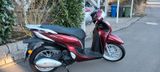 Honda SH 125 Mode - neuwertig - HONDA SH MODE 125