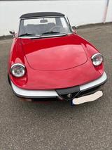 Alfa Romeo Spider (1984) - Alfa Romeo Spider aus 1984