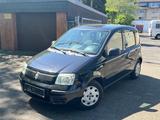 Fiat Panda 1.1 8V Active,86.000 km,Zahnriehmen neu - Fiat Panda: Km 0