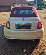 Fiat 500C Caprio 1.0 Hybrid LOUNGE, NAVI, TÜV - Caprio gebraucht