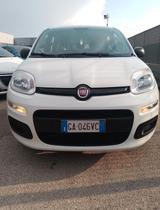 Fiat Panda 1.2 Trussardi - Fiat Panda TRUSSARDI