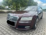 Audi S8  5.2 Benzin - Audi A4 mit Benzin-Antrieb: Limousine, 2.8