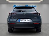 Mazda CX-30 Homura e-SKYACTIV-G HUD Navi LED ACC El. H - Mazda CX-30
