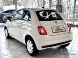 Fiat 500 Hybrid 1.0 Cult Klima DAB Temp Berganfahrass - Fiat 500: Cult