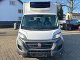 Fiat Ducato Maxi 35 160 L3*CARRIER*KÜHLKOFFER*TOP*EU6 - Angebote