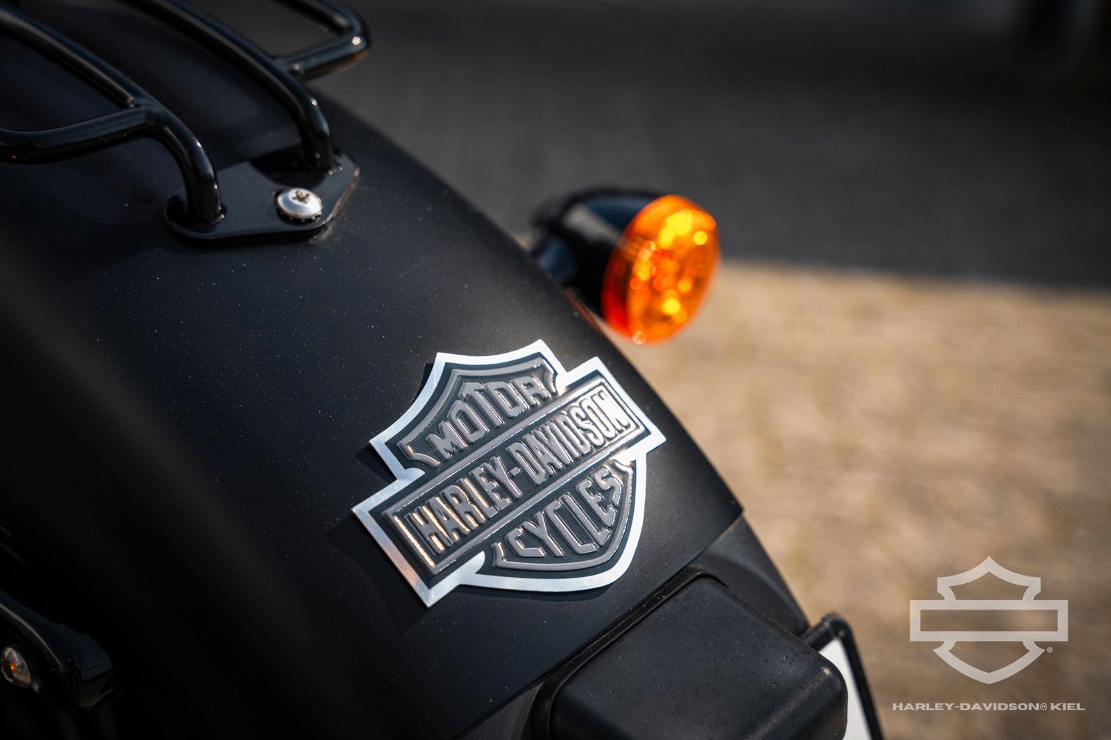 Fahrzeugabbildung Harley-Davidson XL883N IRON SPORTSTER - DAYMAKER -