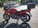 Yamaha XJ600S Diversion - YAMAHA XJ 600 S DIVERSION