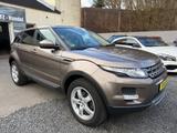 Land Rover Range Rover Evoque Pure Technik *AUTO**PANORAMA* - Land Rover Range Rover Evoque Pure mit Diesel-Antrieb