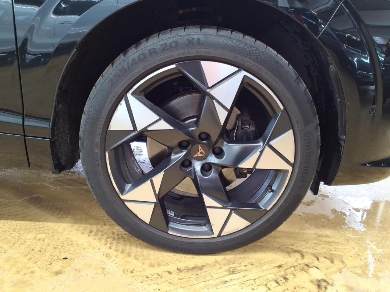 Cupra Terramar - Bild 14