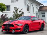 Ford Mustang GT Fastback 5.0*SHELBY OPTIK*KUNDENAUFTR - Ford: Shelby