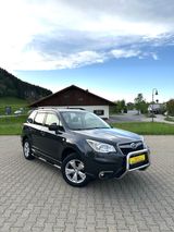 Subaru Forester Active+1.HAND+4x4+AUTOMATIK+AHK - Subaru: Pickup