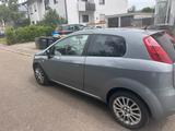Fiat Punto 1.4 Benzin zu verkaufen - Fiat Punto in Freiburg