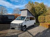 Volkswagen T6 mit Aufstelldach - Volkswagen: Kleinbus, mit Aufstelldach