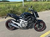 Suzuki Gladius SFV 650 - Offers matching your search criteria