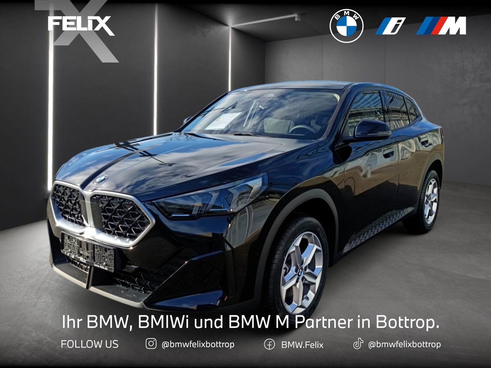 BMW X2 sDrive20i 18"+SSV+DRIVING+PARKING-ASSISTANTs