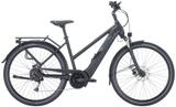 Pegasus Solero EVO 9 M - Pegasus E-Bikes