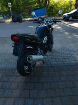 Suzuki Bandit GSF 1200 [GV75A]° - Offers